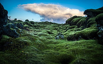 Khám phá Mặt Trăng ngay trên cánh đồng dung nham rêu phủ Iceland